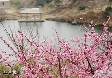 海阳云顶自然风景旅游区-山花烂漫照片