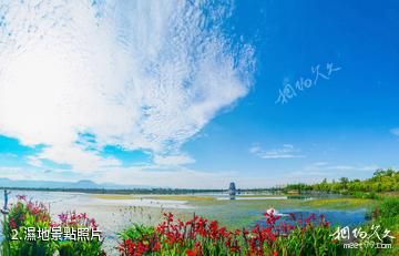 雲南保山青華海國家濕地公園-濕地照片