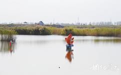 盤錦繞陽灣旅遊攻略之濕地保護區