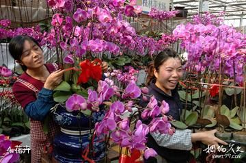 天津张家窝食用菌休闲园-花卉照片