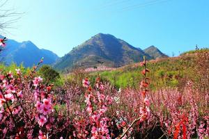 陕西商洛丹凤竹林关旅游攻略-竹林关镇景点排行榜