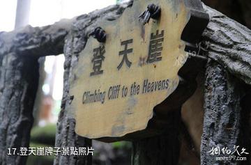 五女峰國家級森林公園-登天崖牌子照片