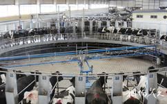眉山蒙牛乳业工业旅游攻略之奶源