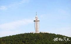 紫蓬山国家森林公园旅游攻略之观光塔