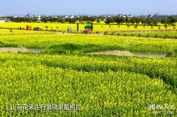 上海花米庄行景區照片