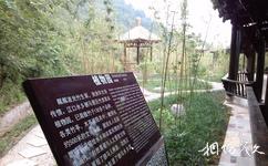 平昌駟馬水鄉旅遊攻略之竹子植物園