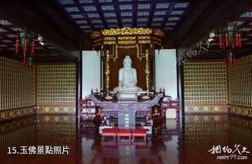鹽城射陽息心寺-玉佛照片