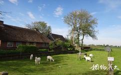 荷蘭羊角村旅遊攻略之山羊