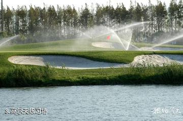 上海滨海森林公园-高尔夫练习场照片