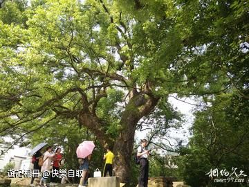 結伴走昌溪