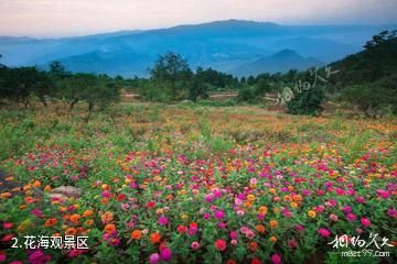 丰都九重天景区-花海观景区照片