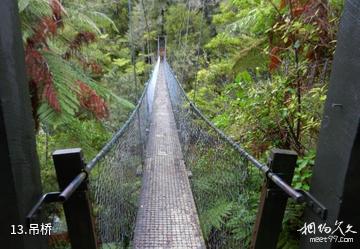 新西兰阿贝尔·塔斯曼国家公园-吊桥照片