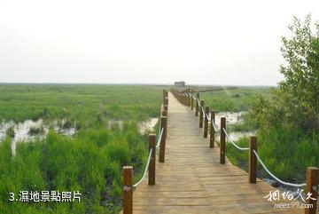 黑龍江洪河國家級自然保護區-濕地照片