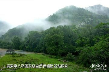 廣東車八嶺國家級自然保護區照片