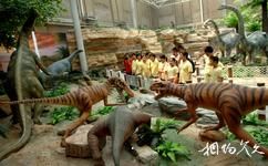 北京自然博物馆旅游攻略之恐龙公园