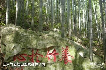 大竹五峰山国家森林公园照片