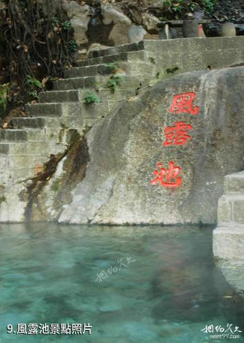 雲南騰衝櫻花谷-風露池照片