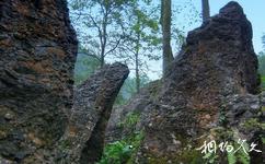 邛崍天台山旅遊攻略之花石林