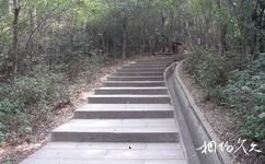 深圳蓮花山公園旅遊攻略之登山道