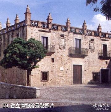 西班牙卡塞雷斯-省立博物館照片