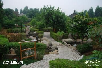 龙佳生态温泉山庄-龙佳生态园照片