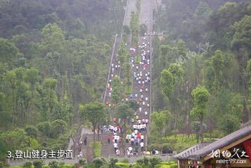 重庆白市驿森林公园-登山健身主步道照片