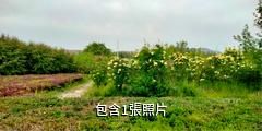 烏魯木齊燕爾窩風景區驢友相冊
