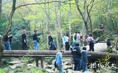 杭州神龙川风景旅游攻略之远志桥