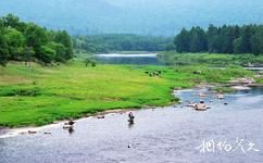黑龙江丰林国家级自然保护区旅游攻略