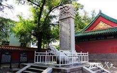 哈尔滨文庙旅游攻略之石碑