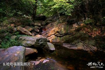 廣水中華山森林公園-哈哈嶺照片