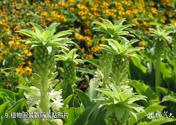 臨沂動植物園-植物園景觀區照片