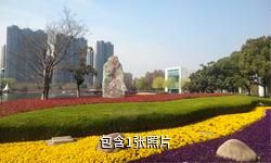 白天鹅公园驴友相册