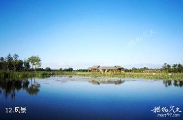 大庆黑鱼湖生态景区-风景照片