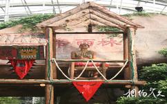 天津熱帶植物觀光園旅遊攻略之熱帶雨林廳