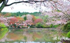 日本龙安寺旅游攻略之鸳鸯池