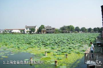 上海金龜島漁村照片