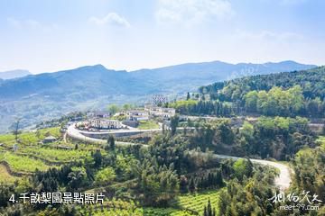 興文僰人巨石陣景區-千畝梨園照片