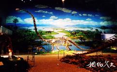自貢恐龍博物館旅遊攻略之一樓展廳