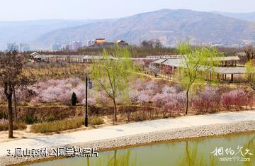 天水秦安鳳山景區-鳳山森林公園照片