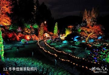 加拿大布查特花園-冬季燈展照片