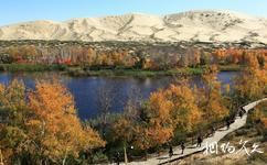 新疆白沙湖旅游攻略之木栈道