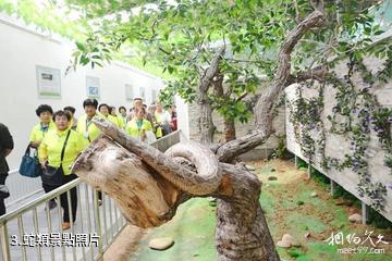 瓊海蛇博園-蛇類照片