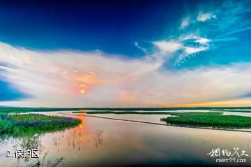天津古海岸与湿地国家级自然保护区-保护区照片