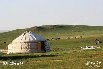 锡林郭勒盟葛根敖包草原旅游度假村-中型蒙古包照片