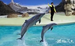 青島海底世界旅遊攻略之海獸表演館
