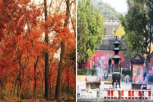 江蘇南京棲霞棲霞旅遊攻略-棲霞街道景點排行榜