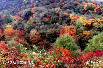 山西百梯山風景名勝區-秋之紅葉照片