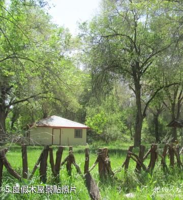 博州青歌禮民族度假村-度假木屋照片