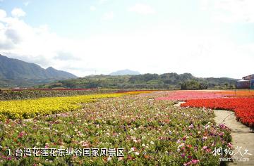 台湾花莲花东纵谷国家风景区照片